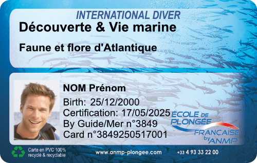 Decouverte Atlantique