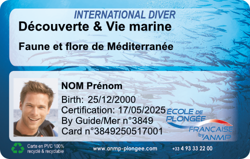 Decouverte Mediterranee