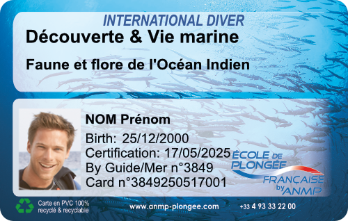 Decouverte Ocean Indien