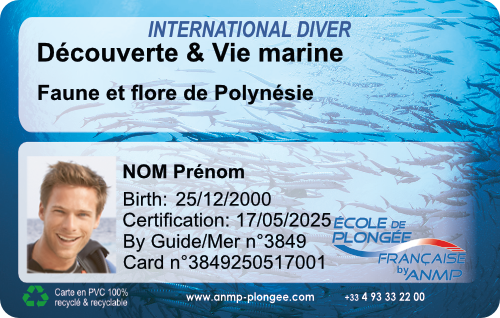 Decouverte Polynésie